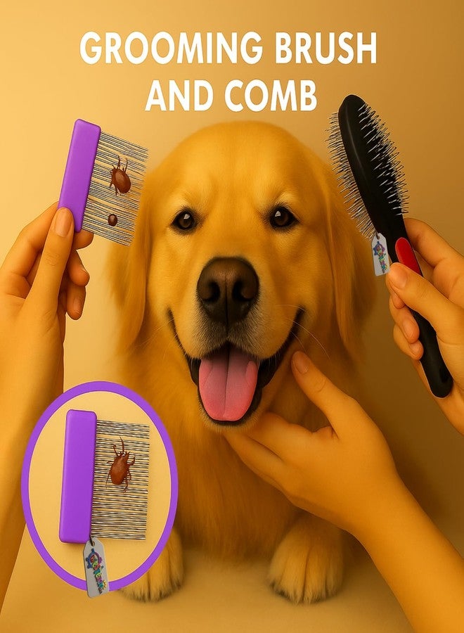 ويستيرن إرا مجموعة العناية بالحيوانات الأليفة من ويسترن إيرا ٢ في ١ للكلاب والقطط | إزالة القراد والبراغيث | فرشاة مزدوجة الجوانب ومشط للبراغيث | مجموعة العناية بالحيوانات الأليفة | إزالة الشعر الزائد وفك التشابك يومياً (عشوائي) - Image 2